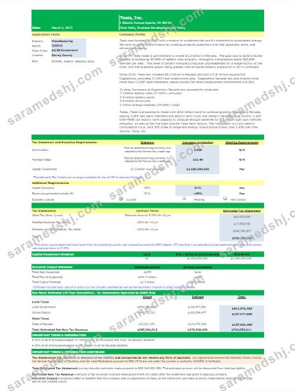 USA TESLA utility bill Word and PDF template